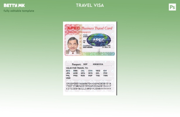 Модерен стил Шаблон за картичка за службено патување во Сингапур